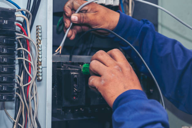 Best Ceiling Fan Installation Electrician  in Capron, IL