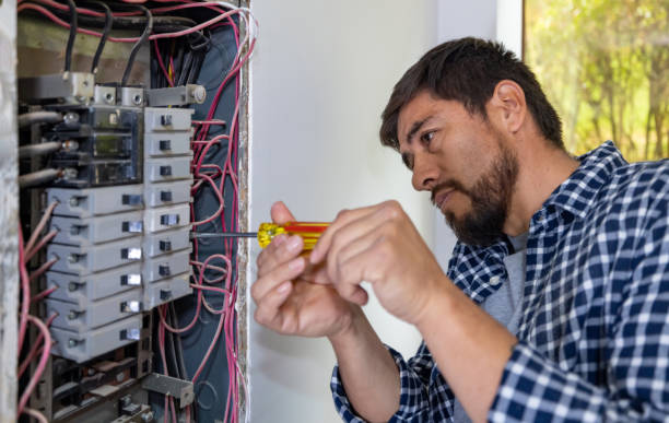 Best Electrical Upgrades for Homes  in Capron, IL